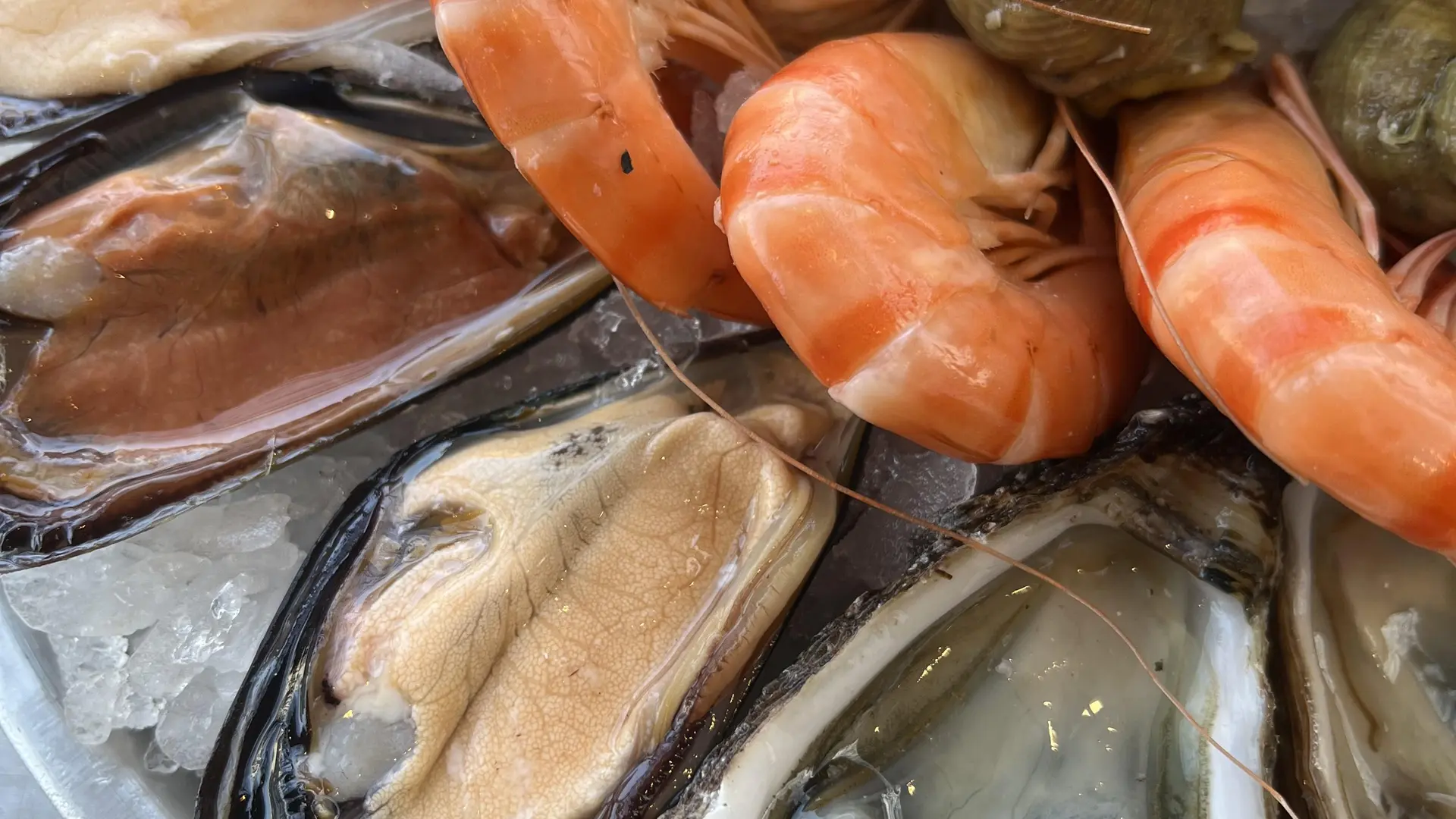 Crevettes, Huîtres, Bulots, Moules
