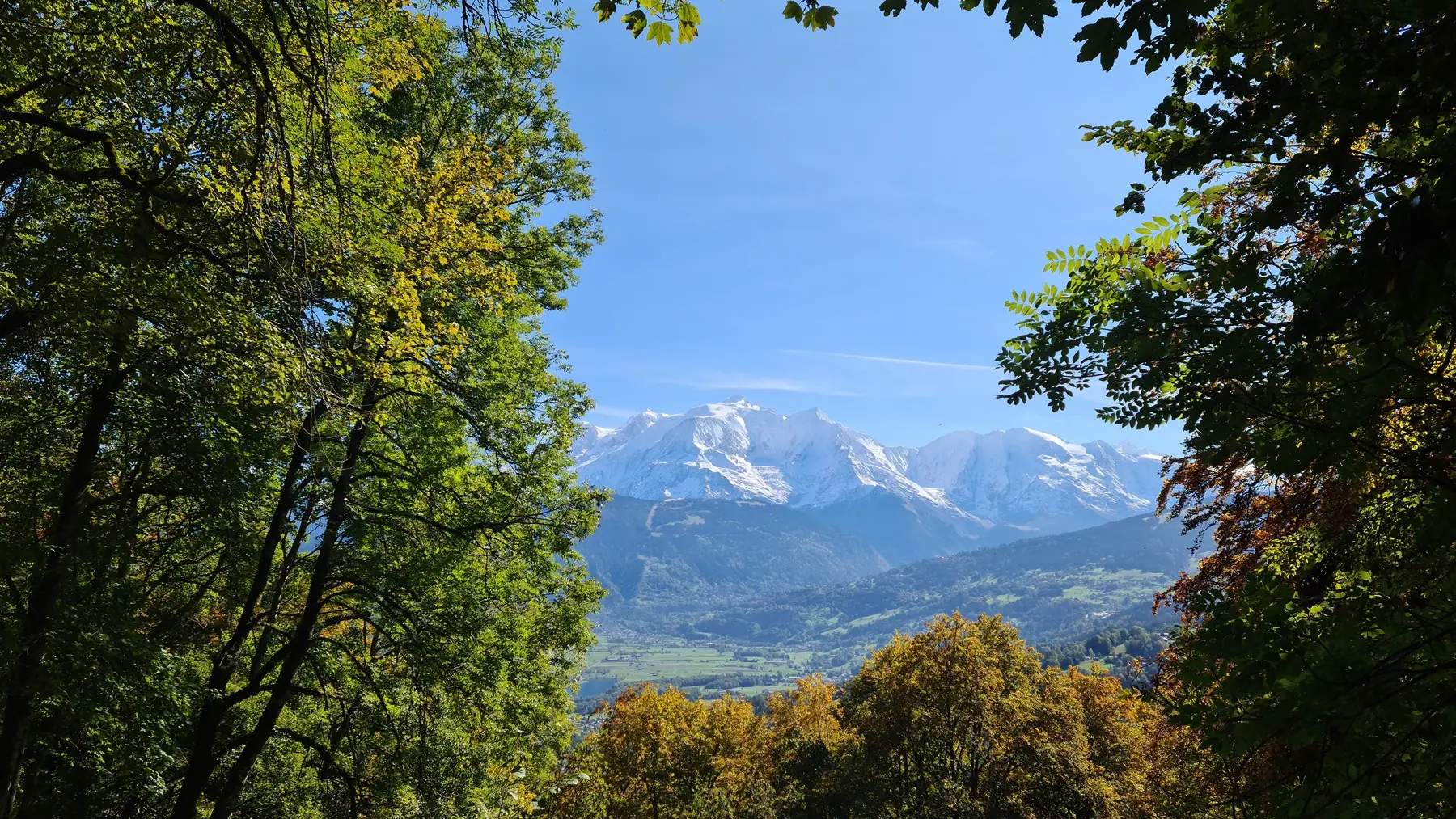 fenêtre sur le Mt Blanc