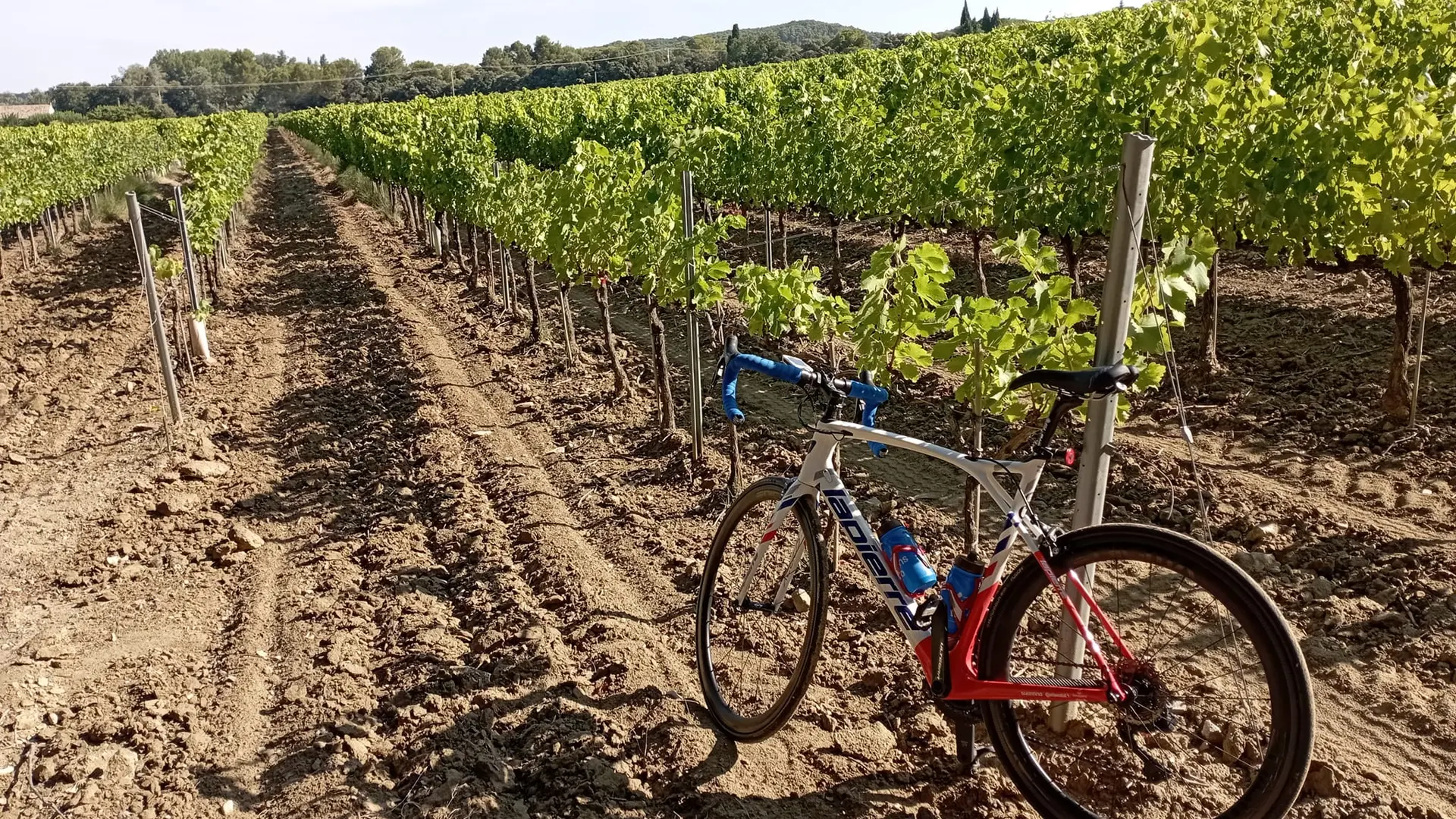 Balades en vélo cave la romaine