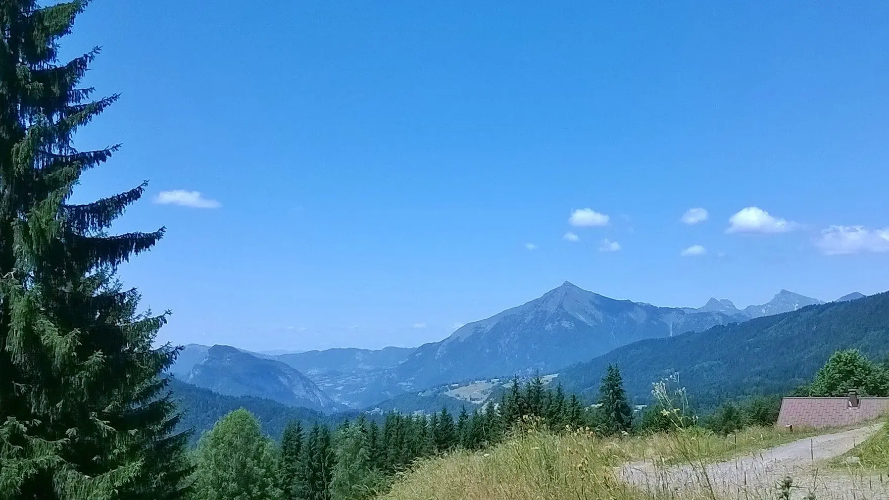 Panorama