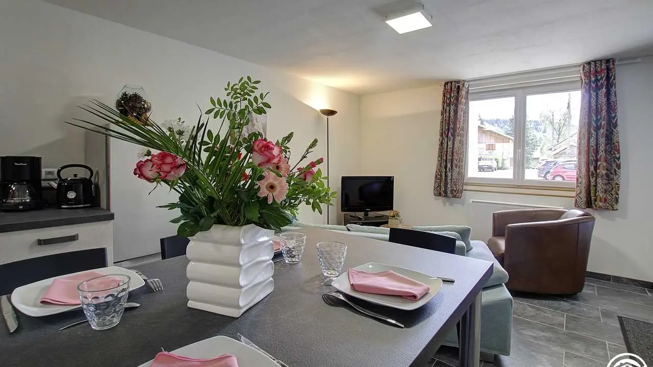 Pièce à vivre , salon ,cuisine aménagée .