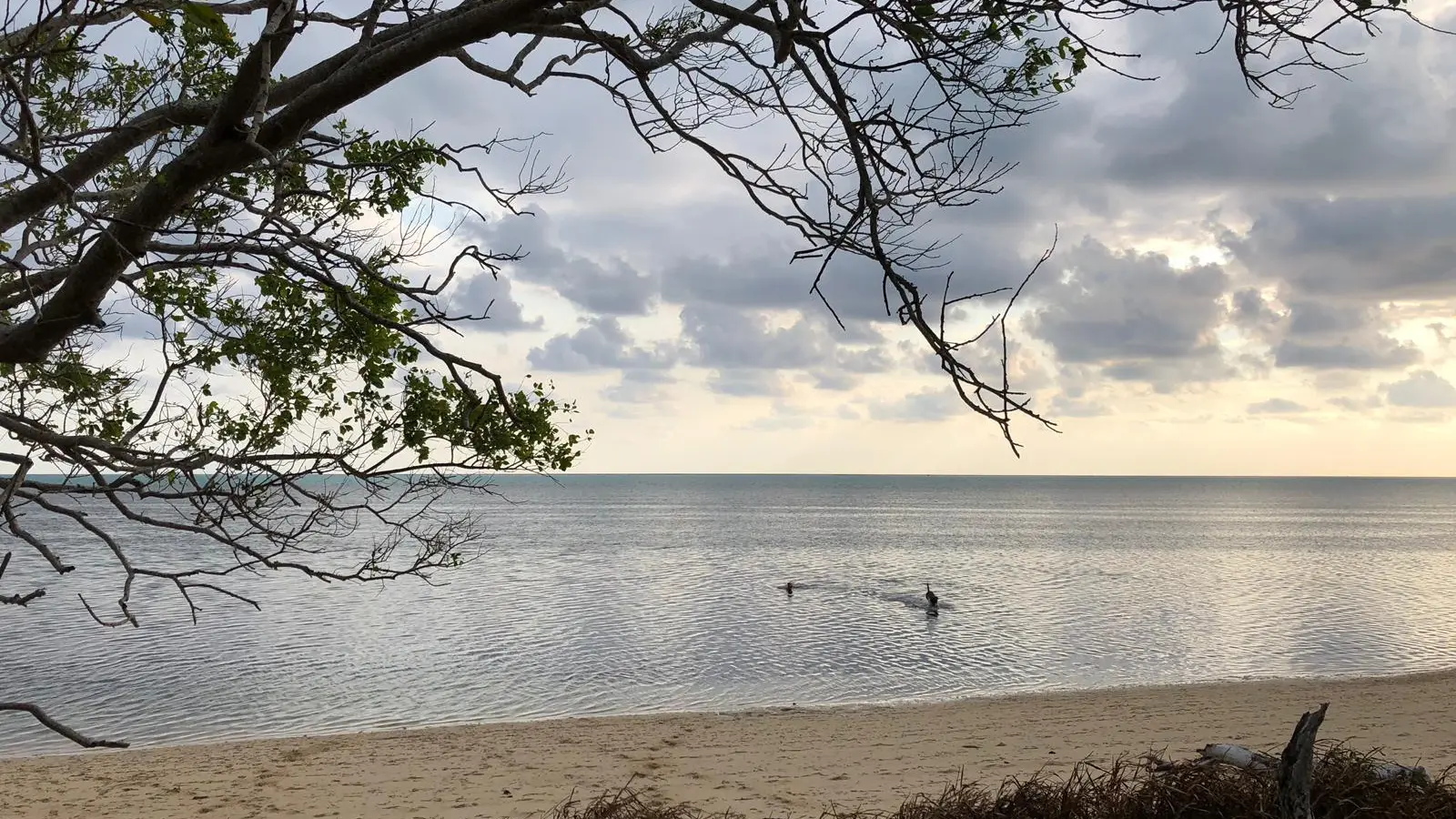 Côté mer