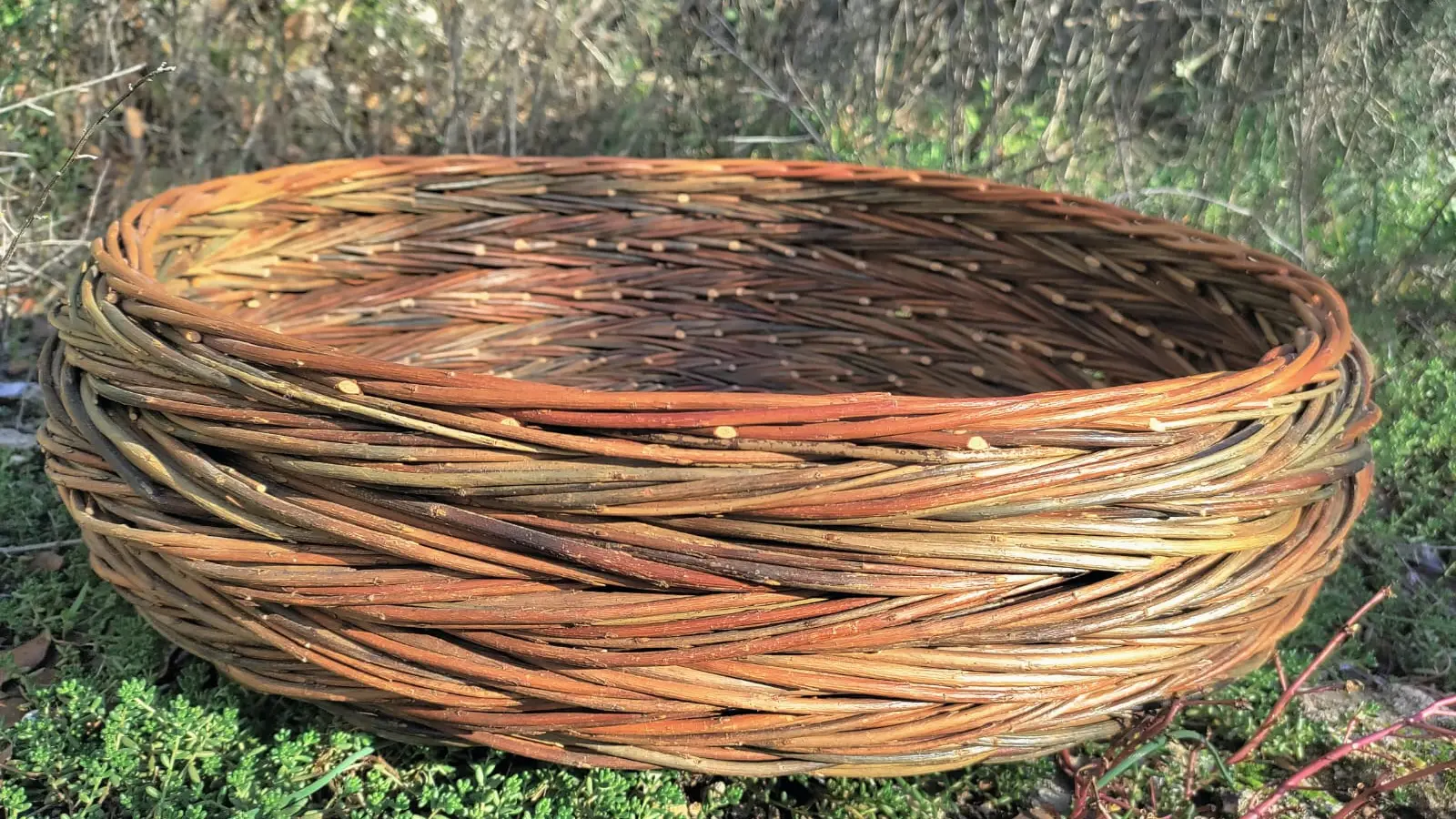 Atelier corbeille en papier au musée de la vannerie à Cadenet_Cadenet
