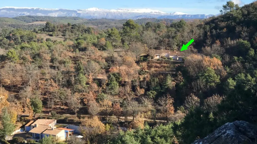 L'emplacement dans la forêt