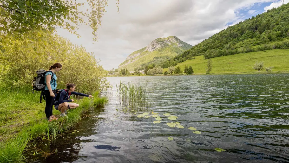 Là-Haut, cabanes perchées