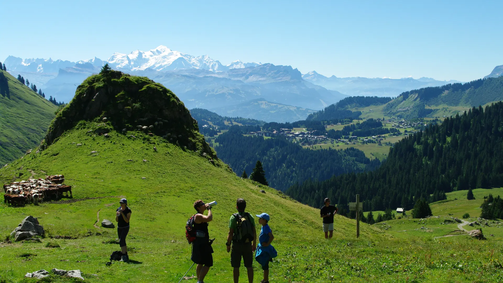 Chalet Blanc