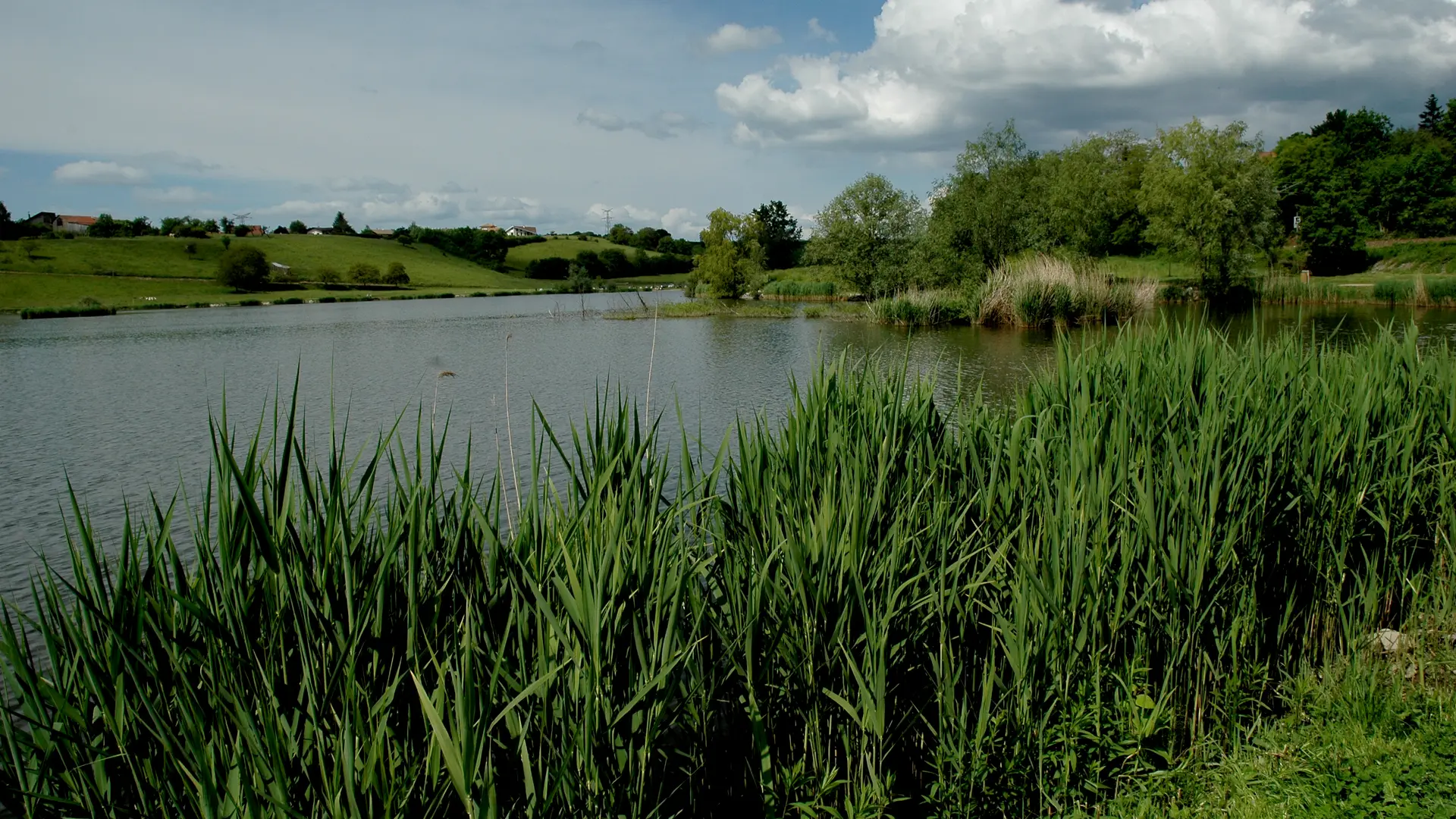 Le Lac de Machilly