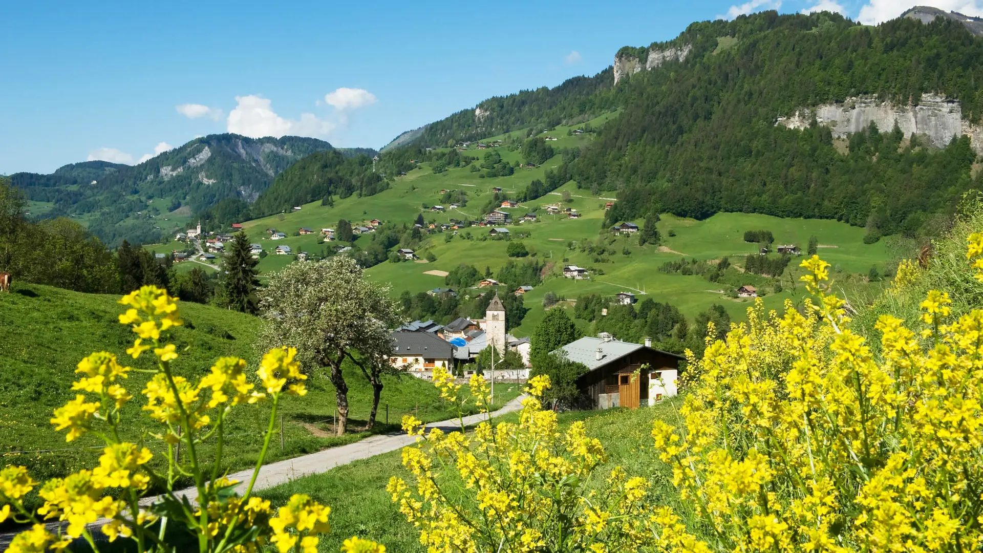 Vue sur Flumet