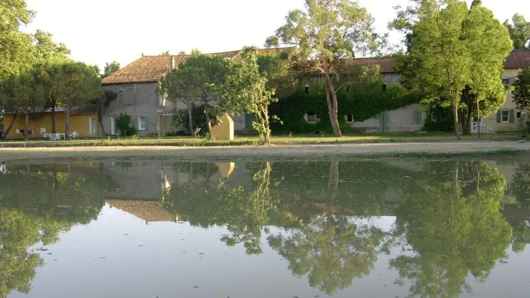 ETANG AVEC MES CHEVAUX