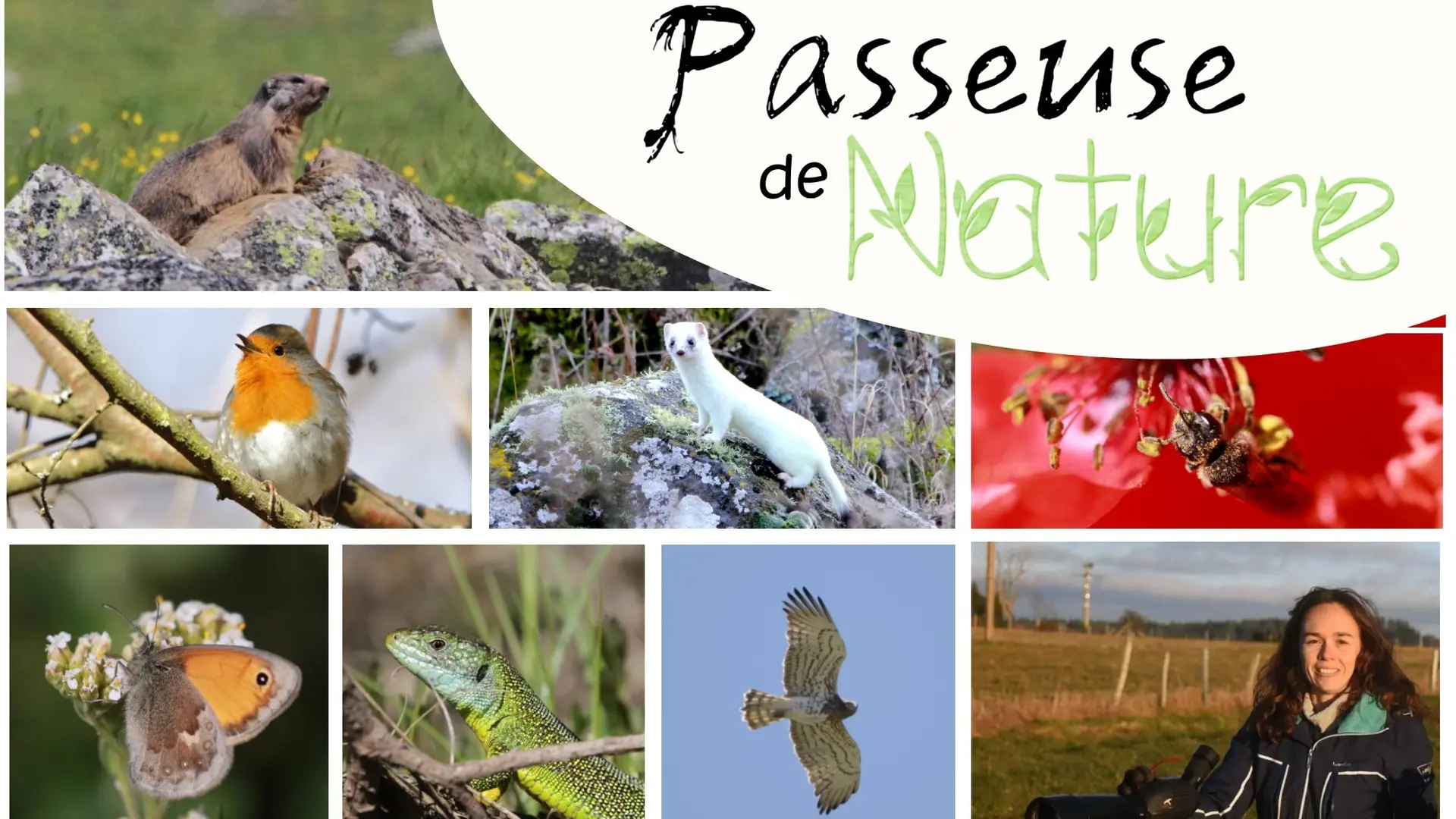 Des sorties pour les adultes et les enfants