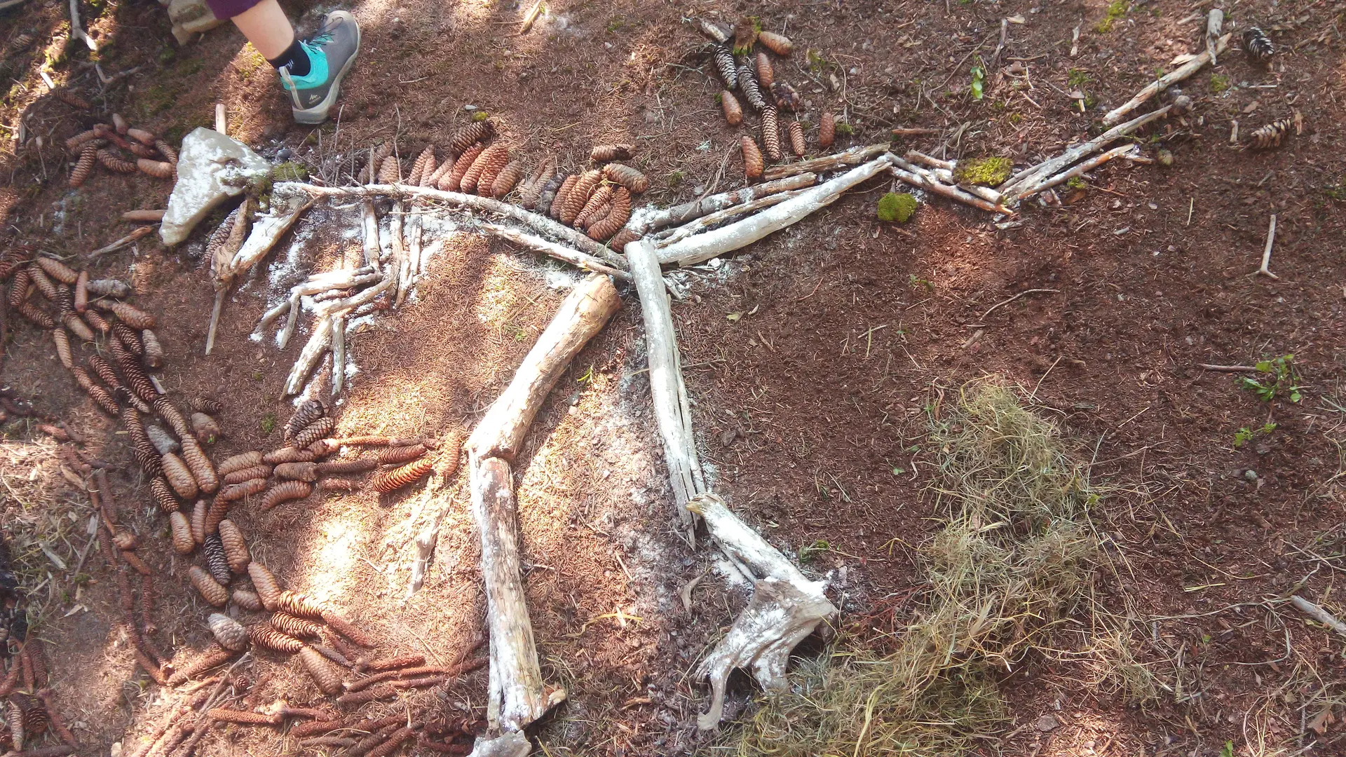 Land'art