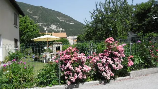 Potager de la maison