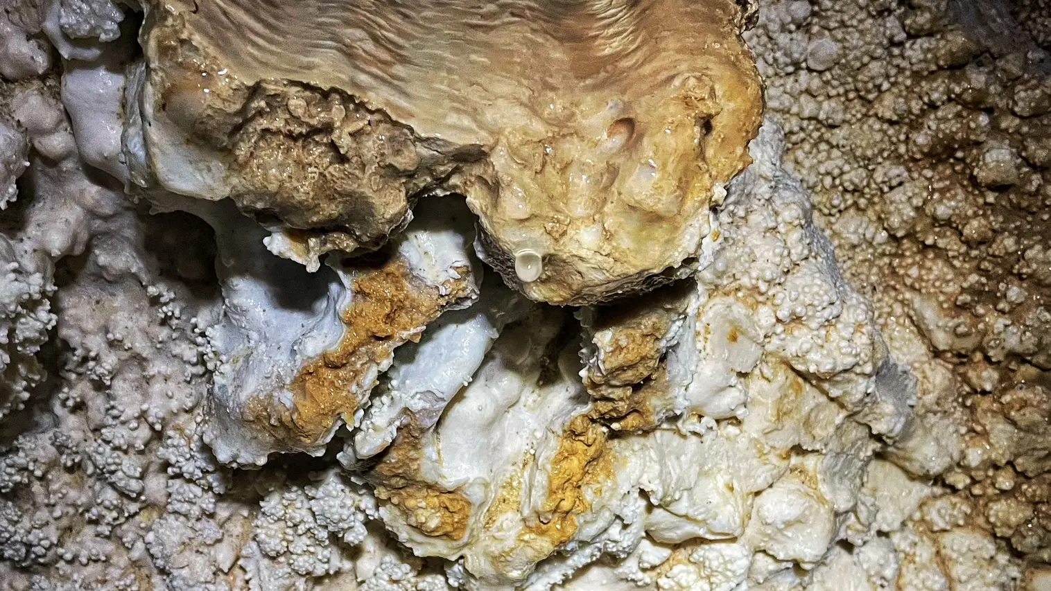 Explorez un univers préservé, sculpté par le temps et l’eau. Avec Ecrins Spéléo Canyon