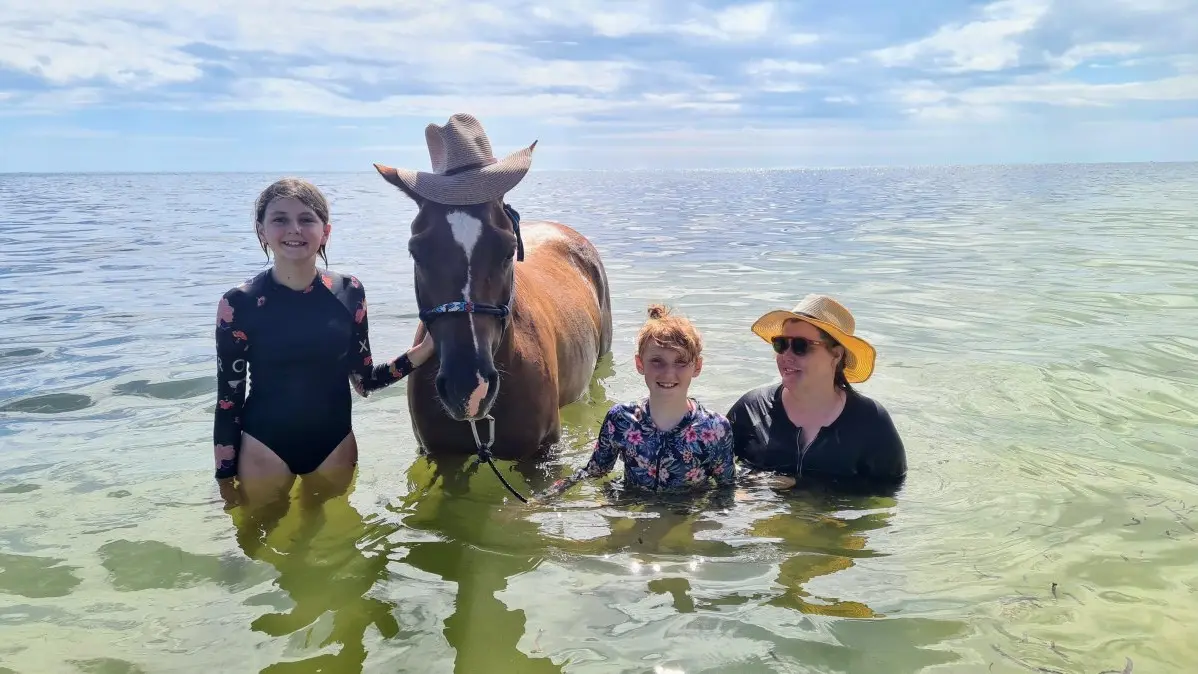 Baignade avec les chevaux à la mer_Bourail