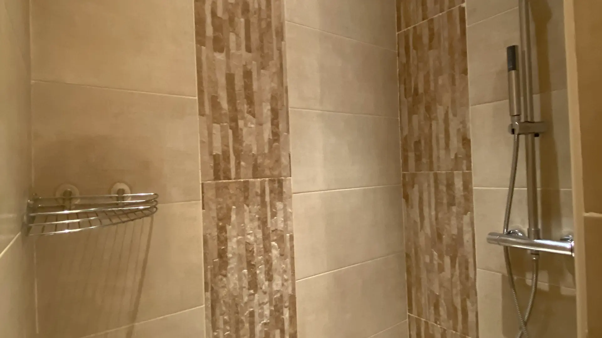 Chalet Alpaga_Manigod