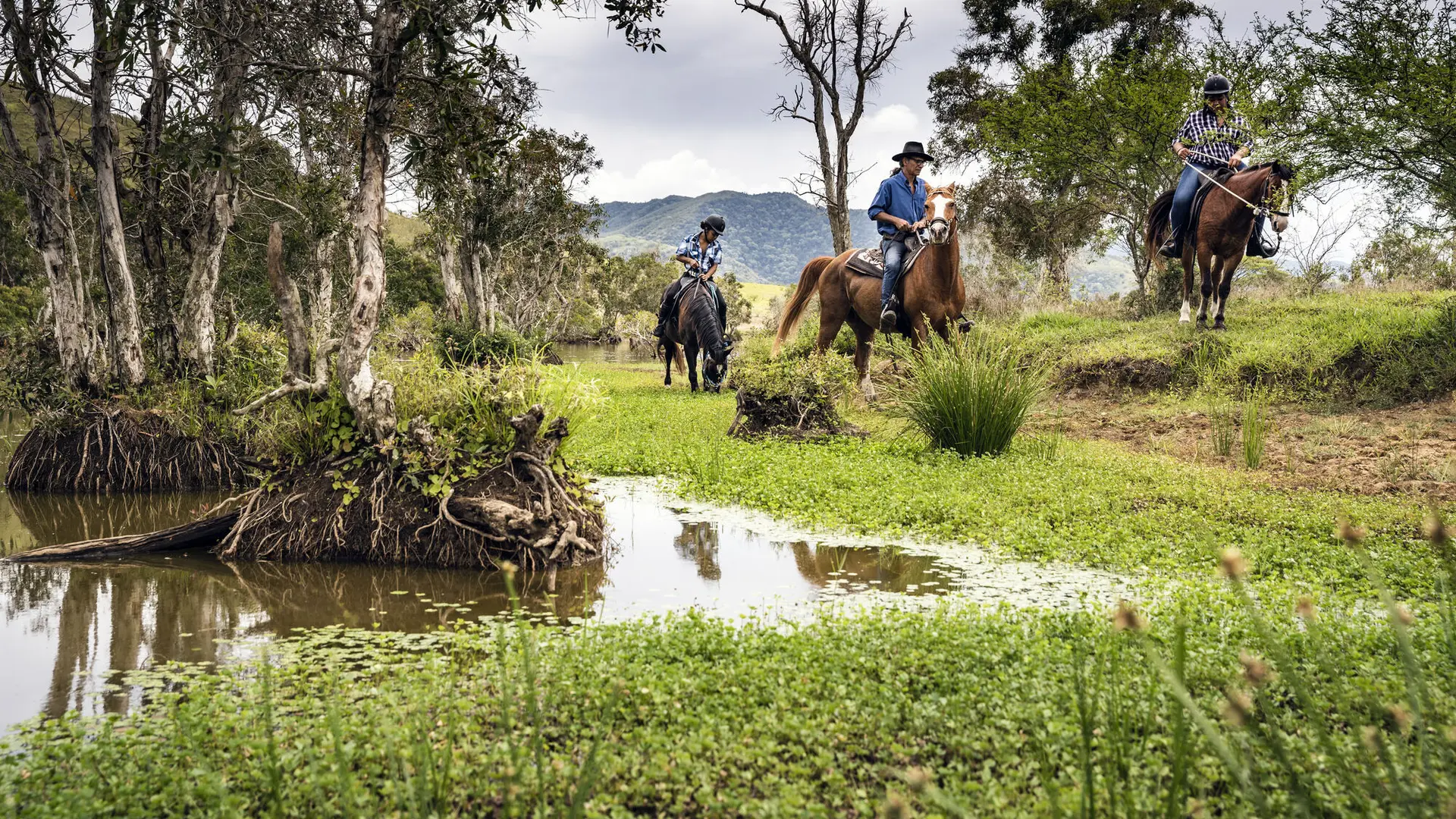 Horseback riding - Vaqueros Rando