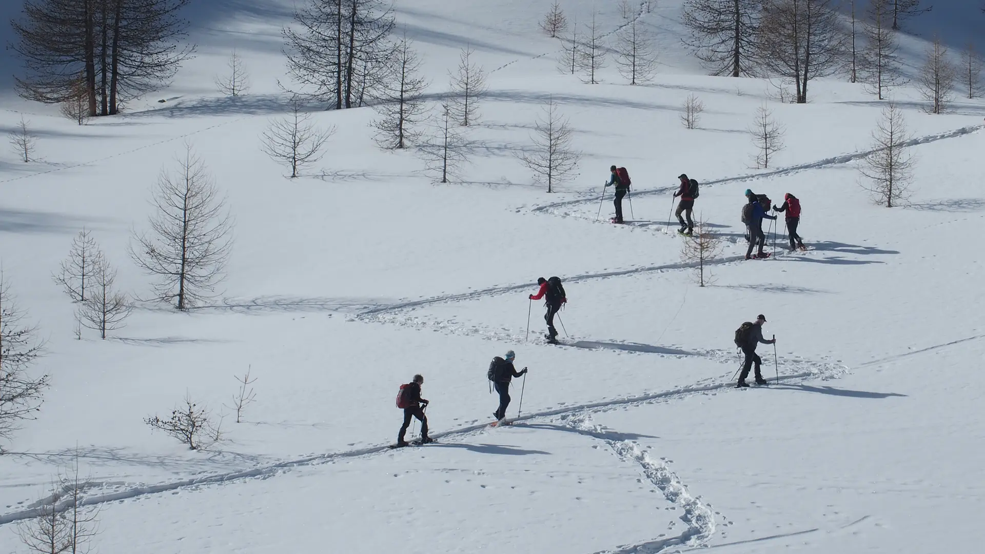 Randonnée raquettes