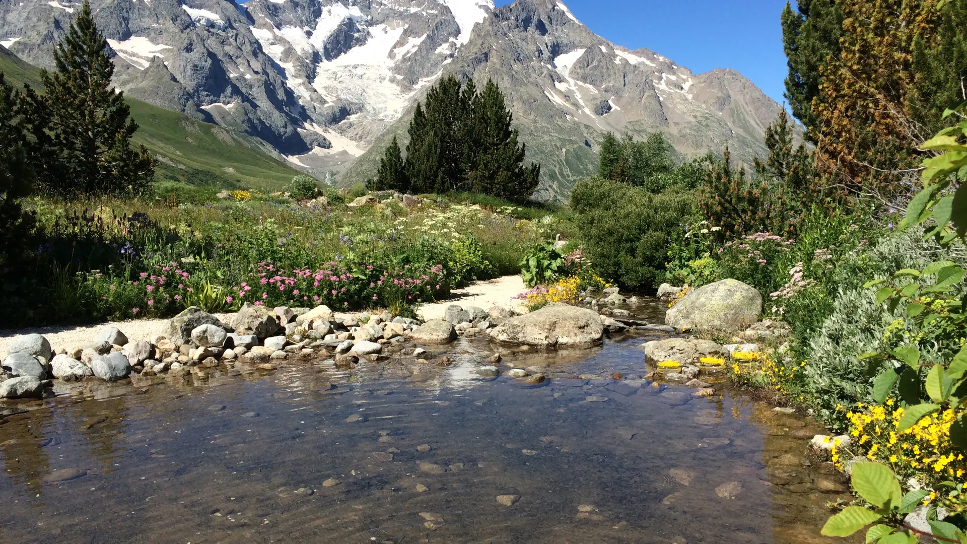 Point d’eau du Jardin du Lautaret avec vue sur le glacier de la Meije.