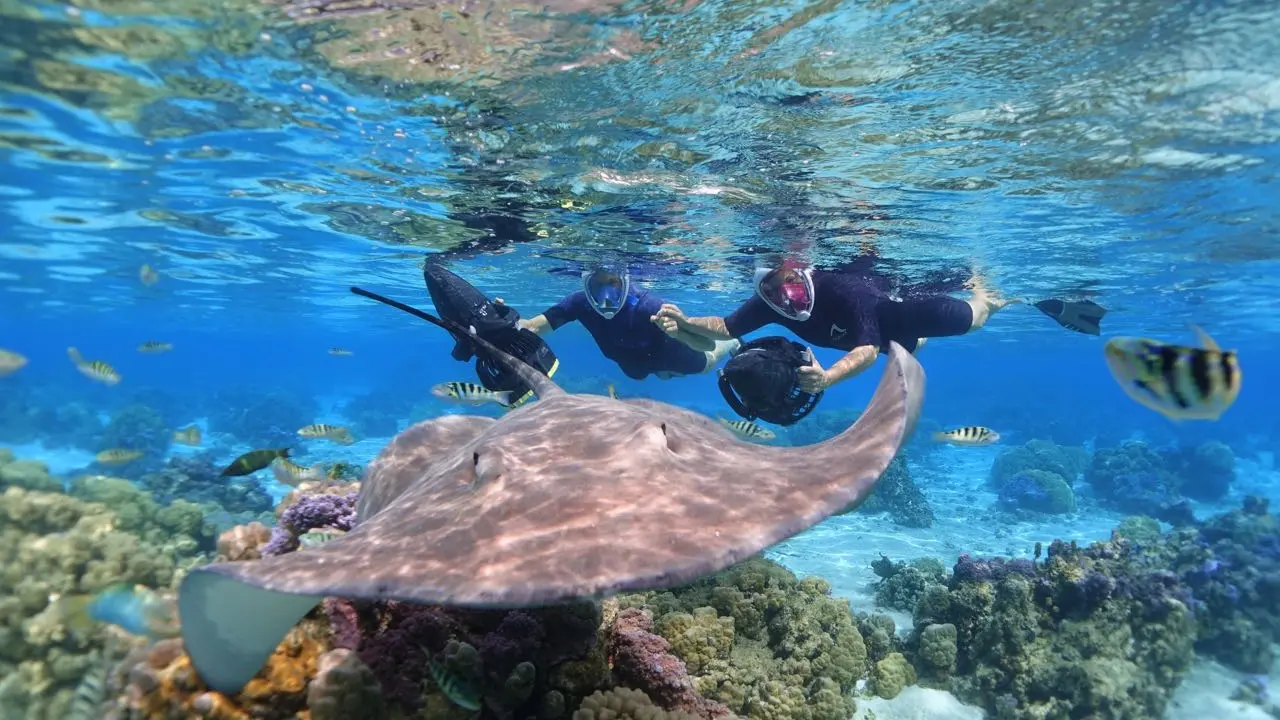 Sarl Moorea Water Games