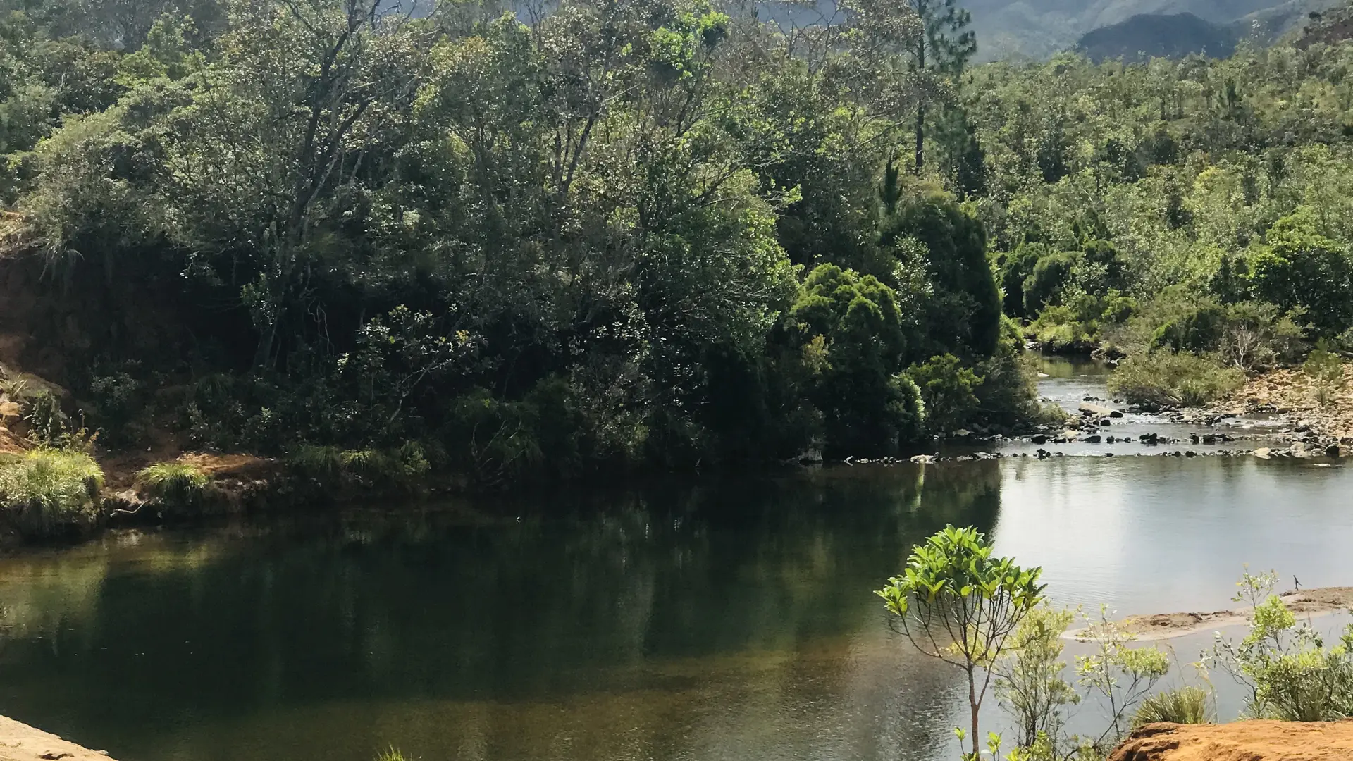 Venez vous rafraîchir dans les eaux claires douces du trou d'eau Gauzère à Yaté !