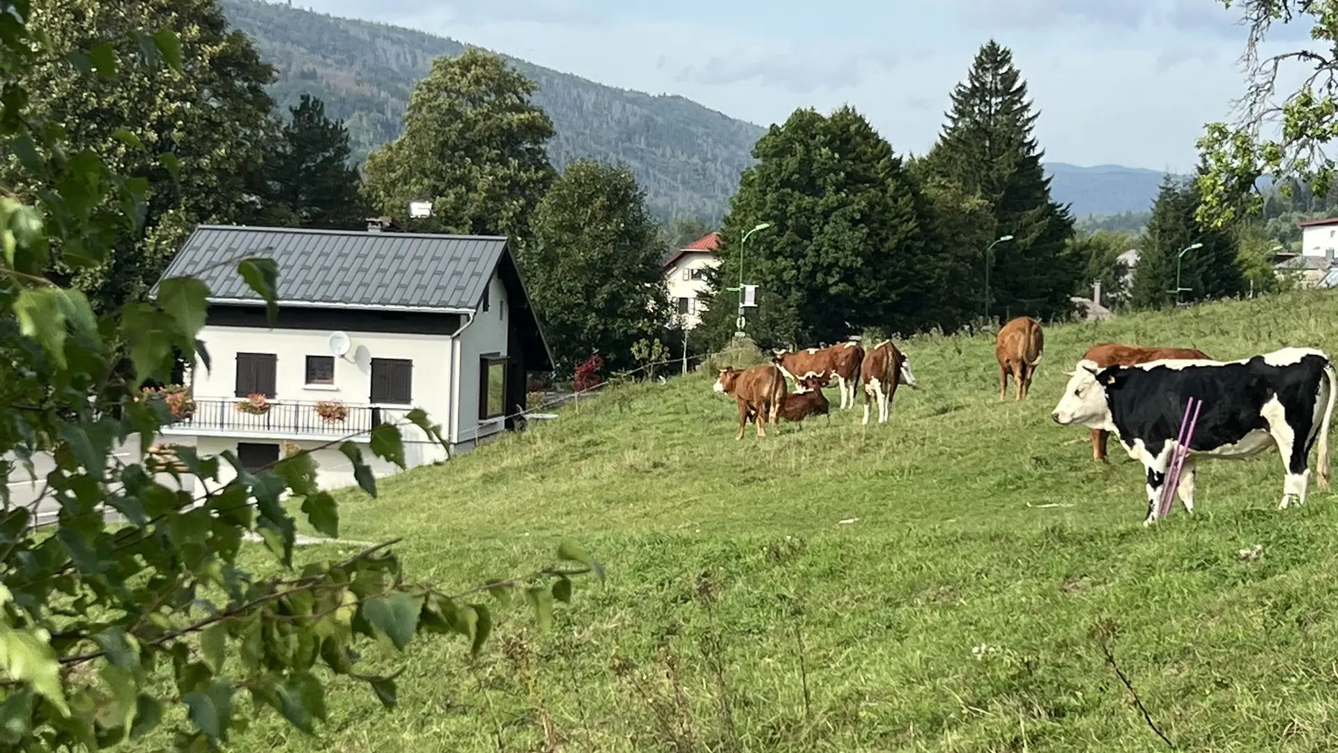 En été