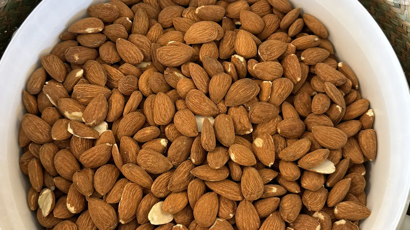 La Lieutenante_Saint-Martin-de-Crau