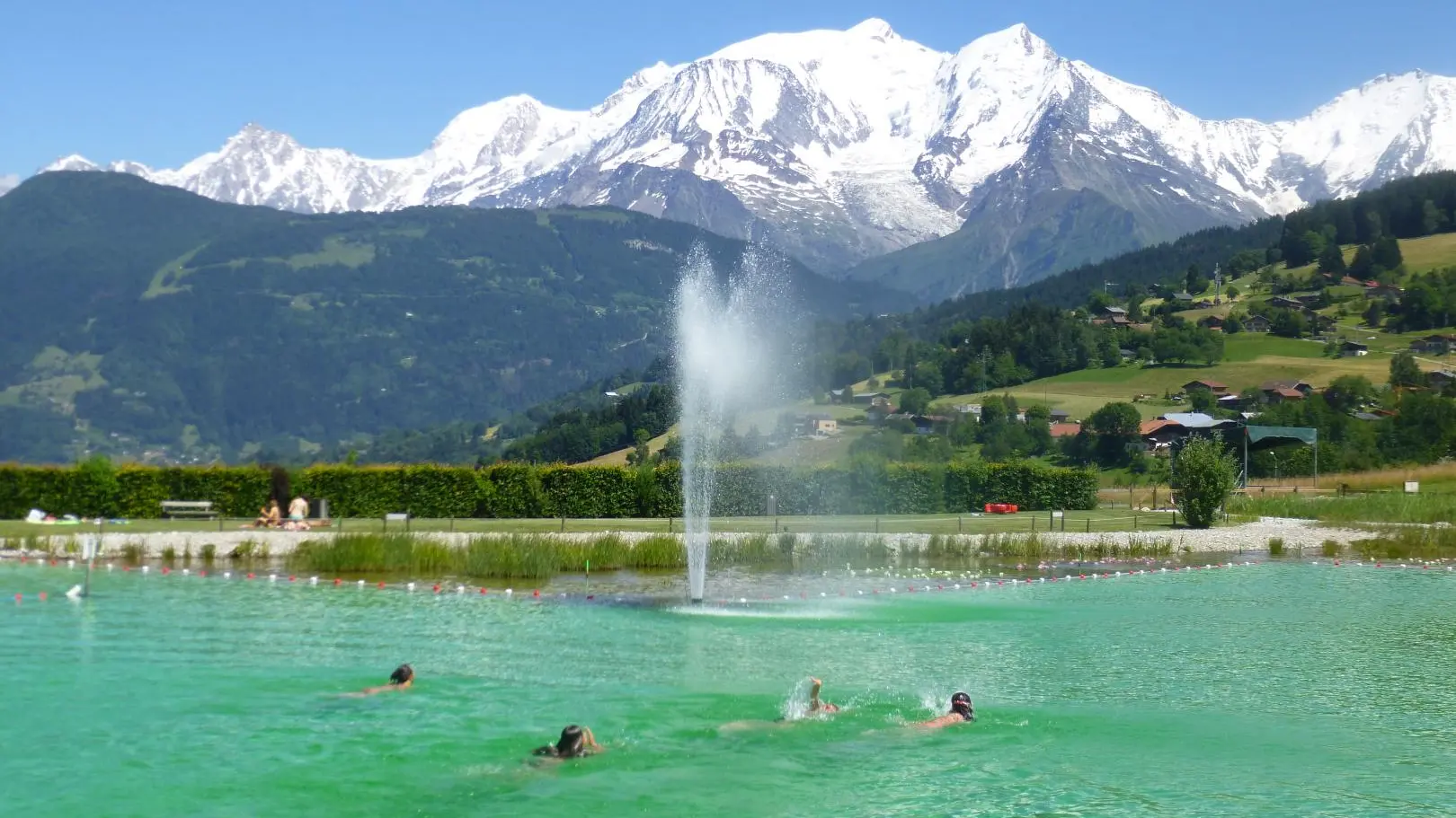 le plan d'eau biotope