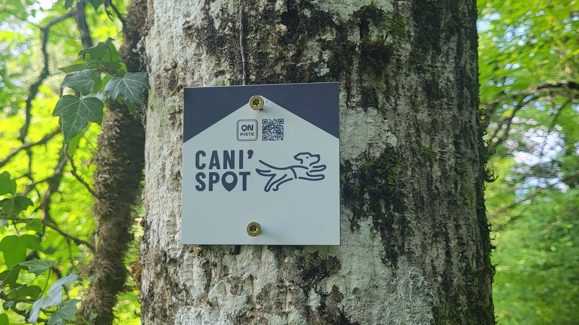 Les Fours à Chaux - Cani'spot n°10_Faverges-Seythenex