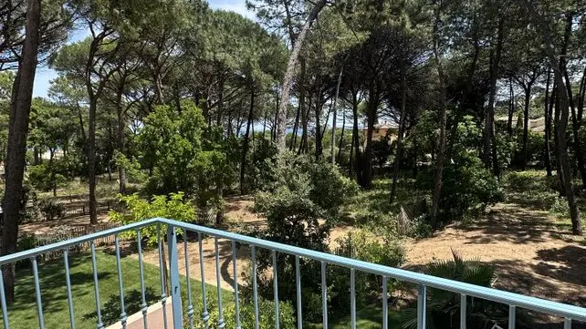 Photo_39