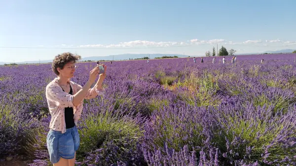 Visit winery and lavender farm