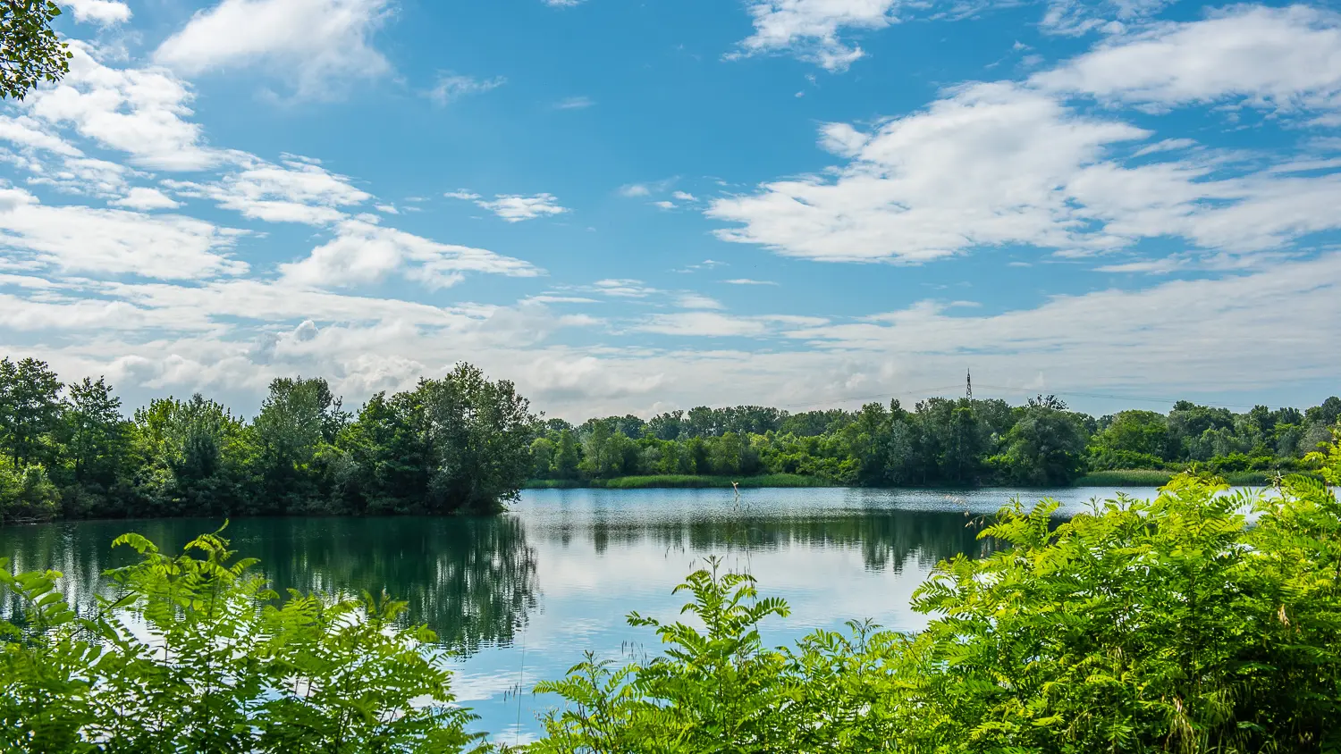 Marais de l'île vieille