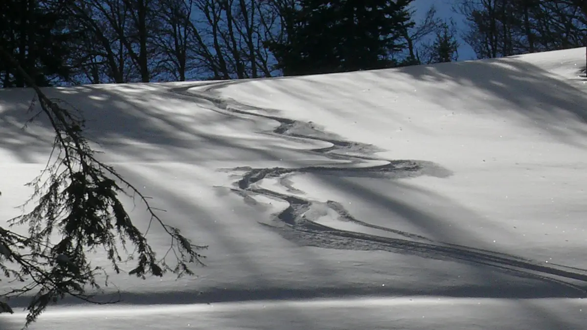 La neige fraiche sur le domaine