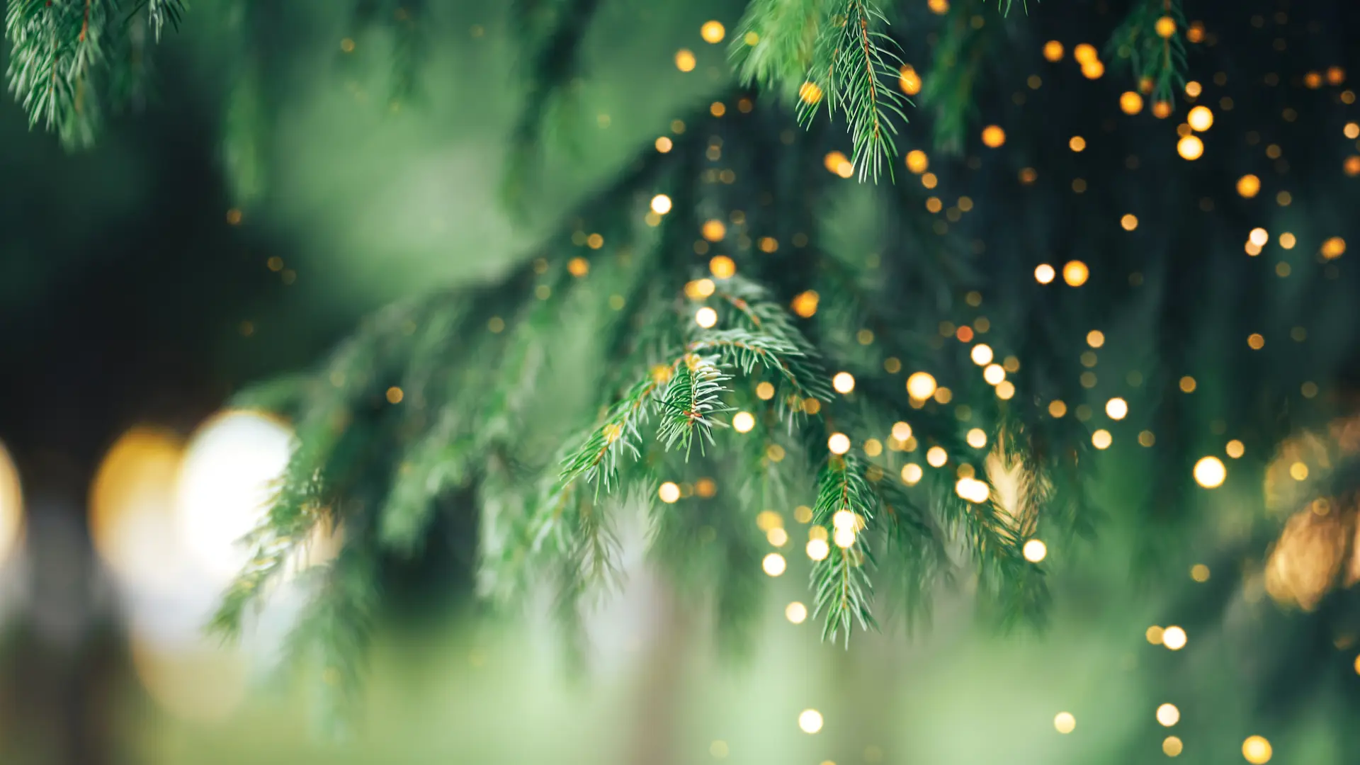 La veillée de noël : les traditions sacrées et gourmandes du Noël Provençal._Sainte-Maxime