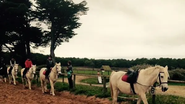 Haras des Evières