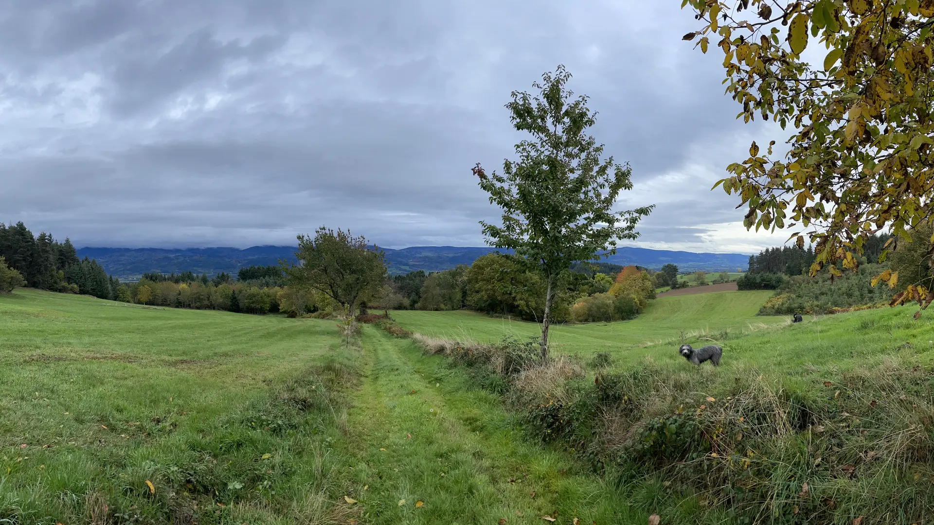 Ballade en chemins creux au-dessus du Bouy