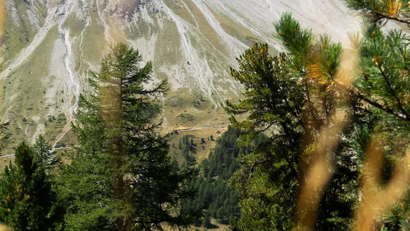 Vue sur les sommets alentours, depuis le sentier pédagogique de la Taure