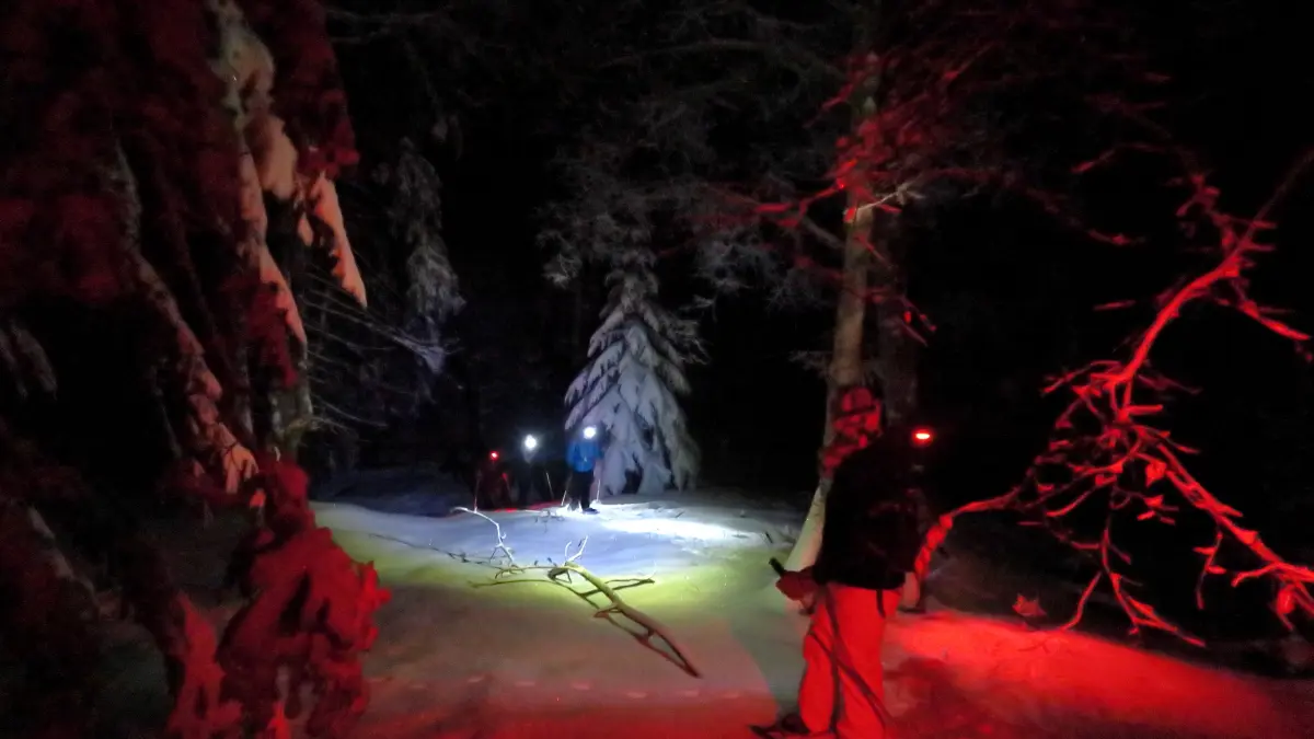 Balade magique de nuit