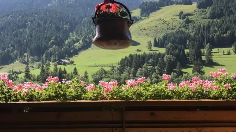 Vue sur le Mont de Grange