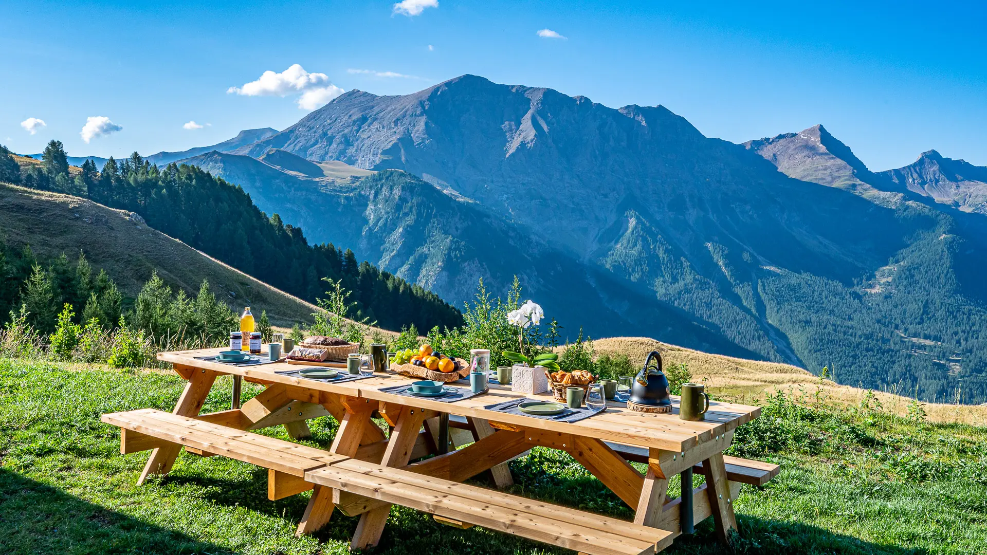 Table de pique nique