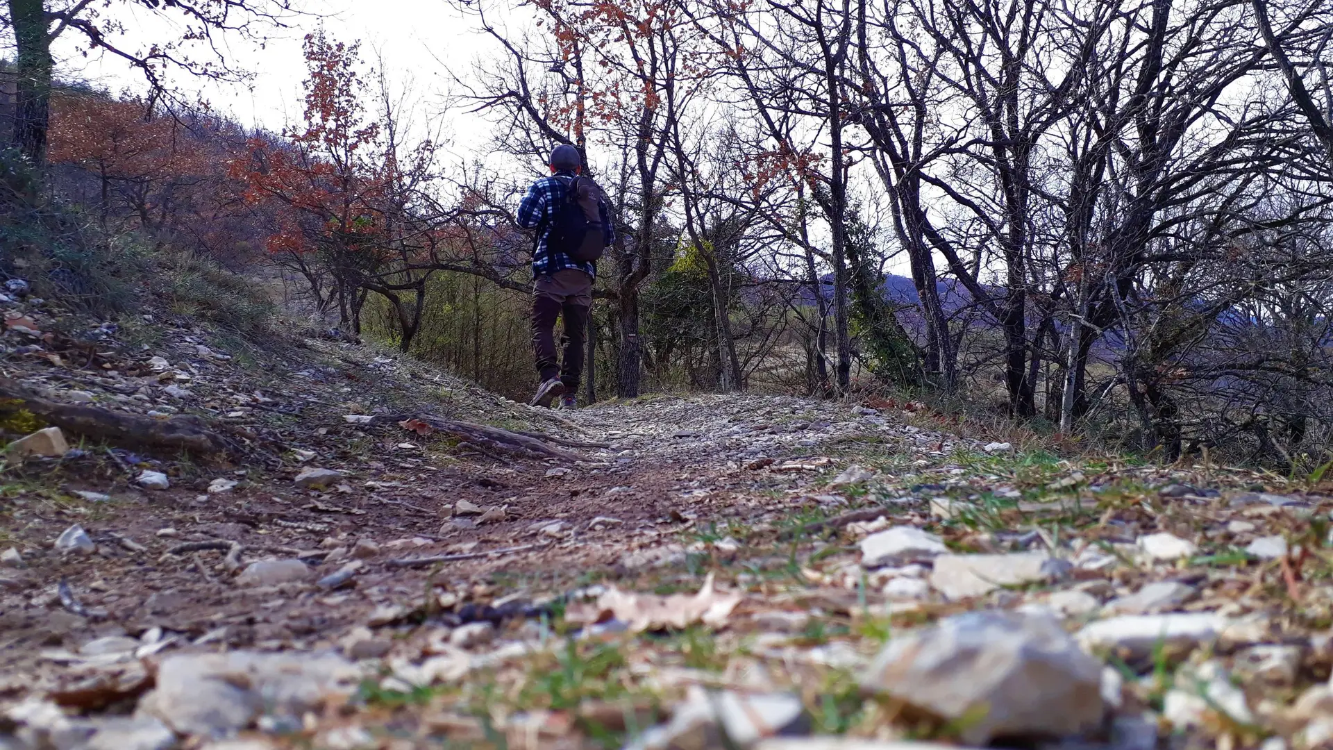 Sur le tour de Saint-Domnin