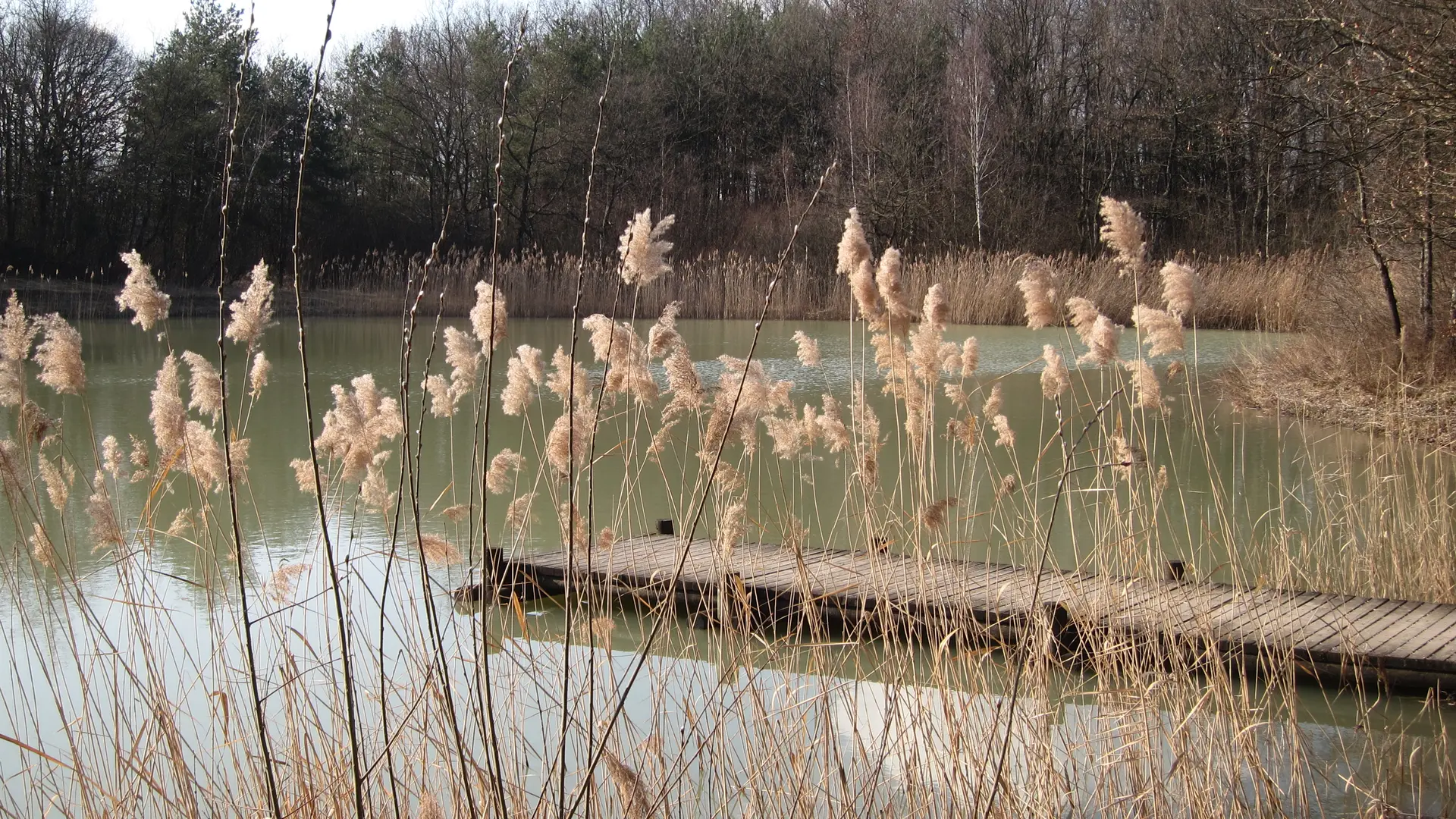 Etang de Colovrex
