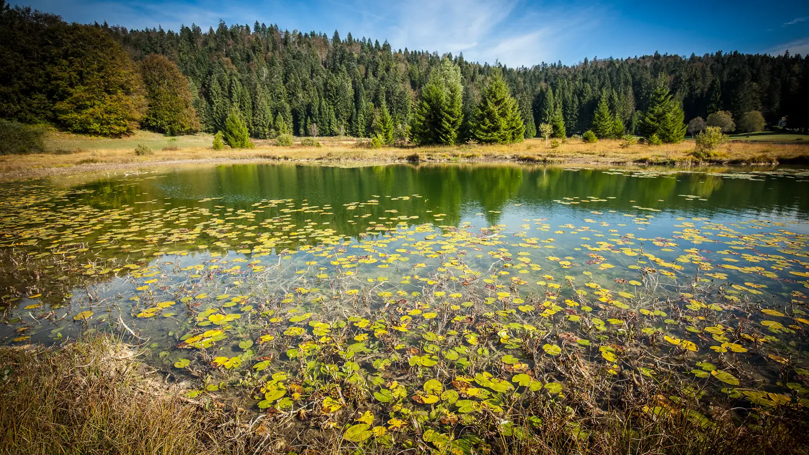 Le Lac Genin