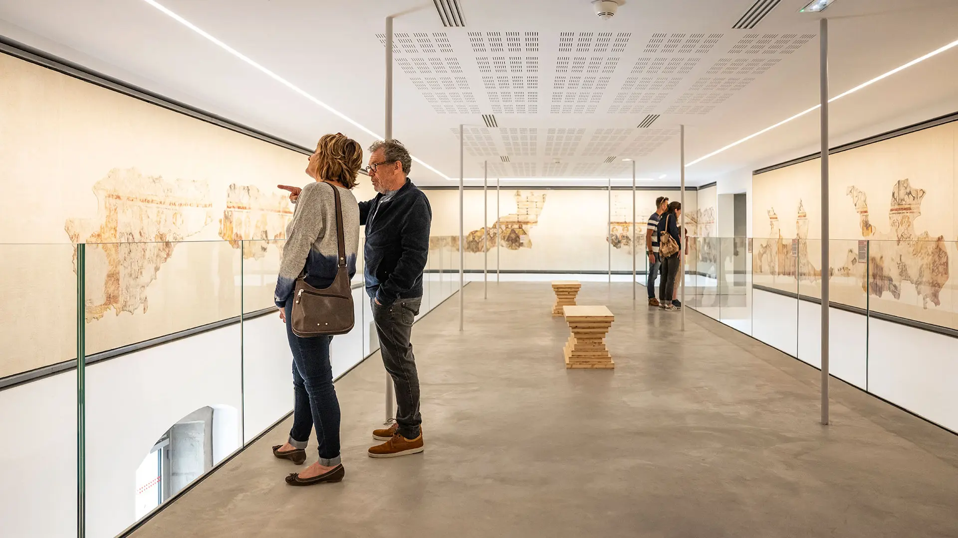 Musée Savoisien