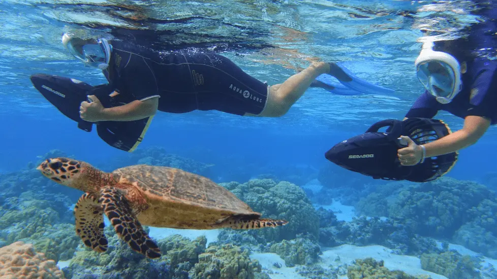 Sarl Moorea Water Games