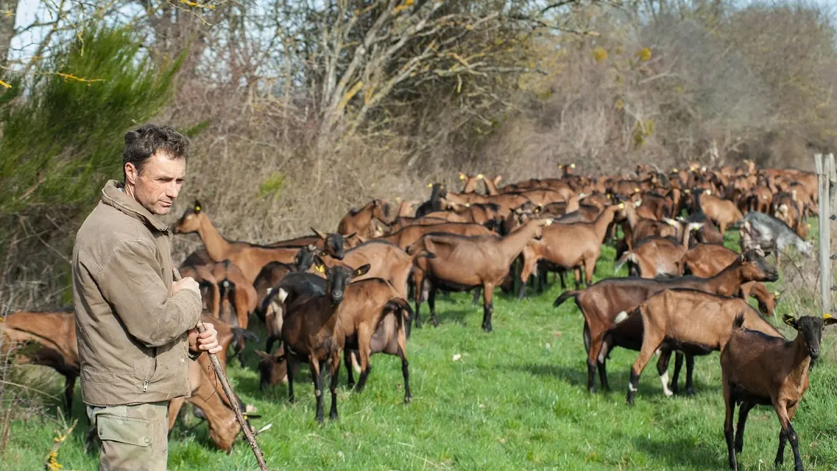 Gaec de la Bellimure