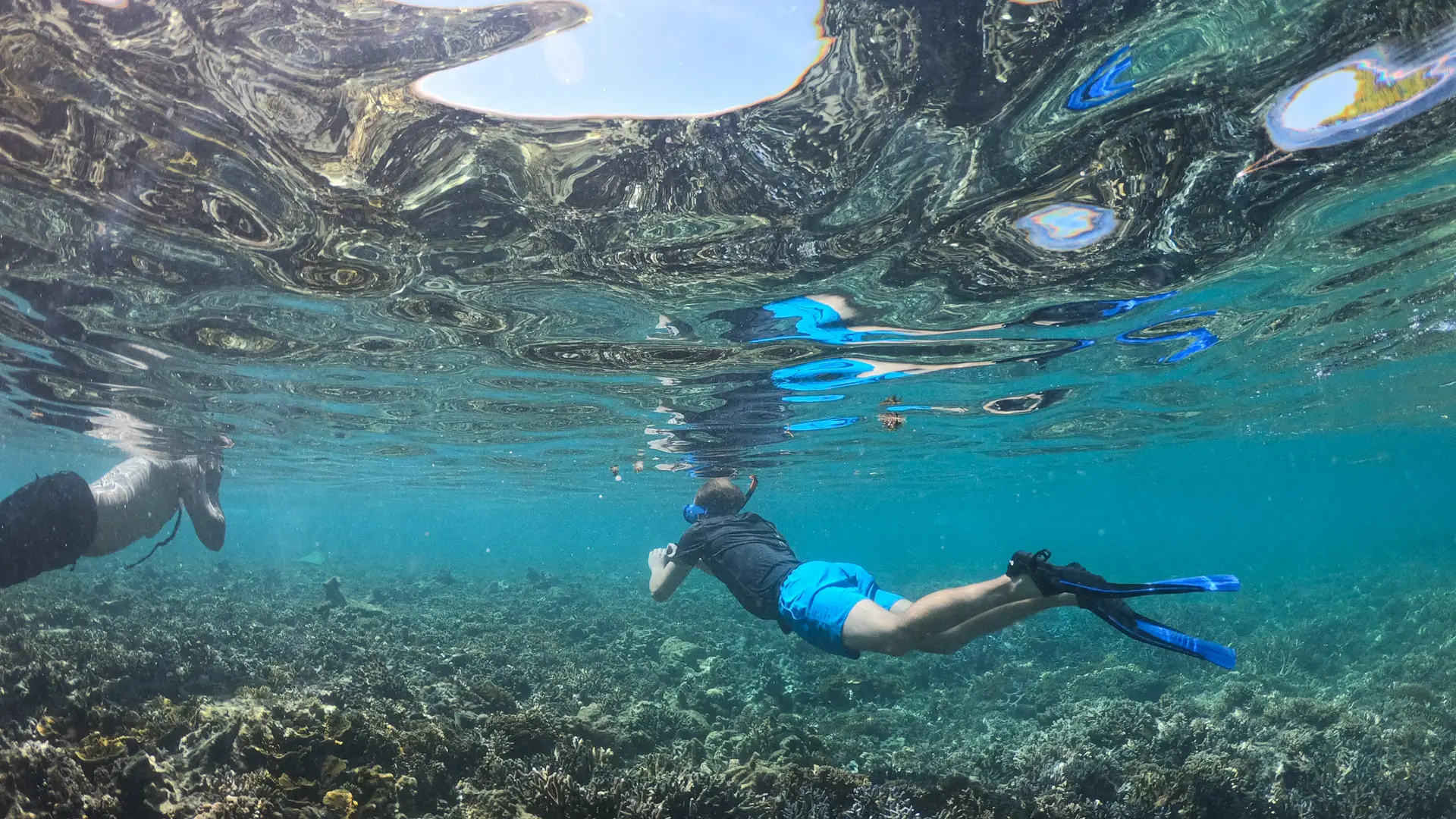 Snorkelling