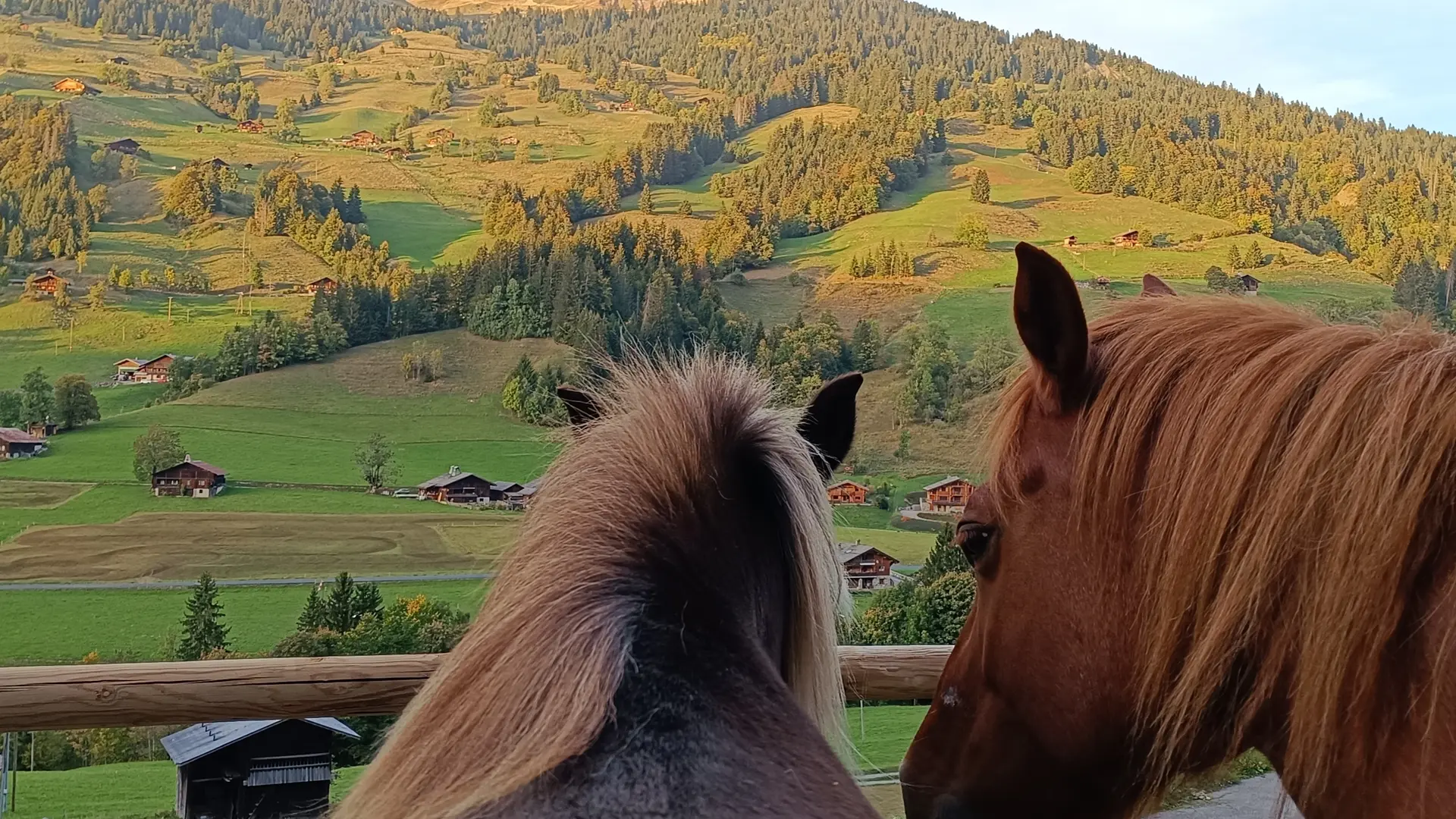 Médiation équine au Grand-Bornand