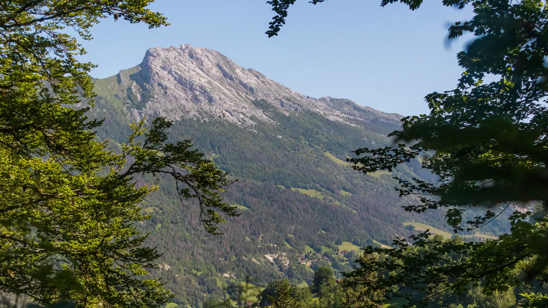 vue