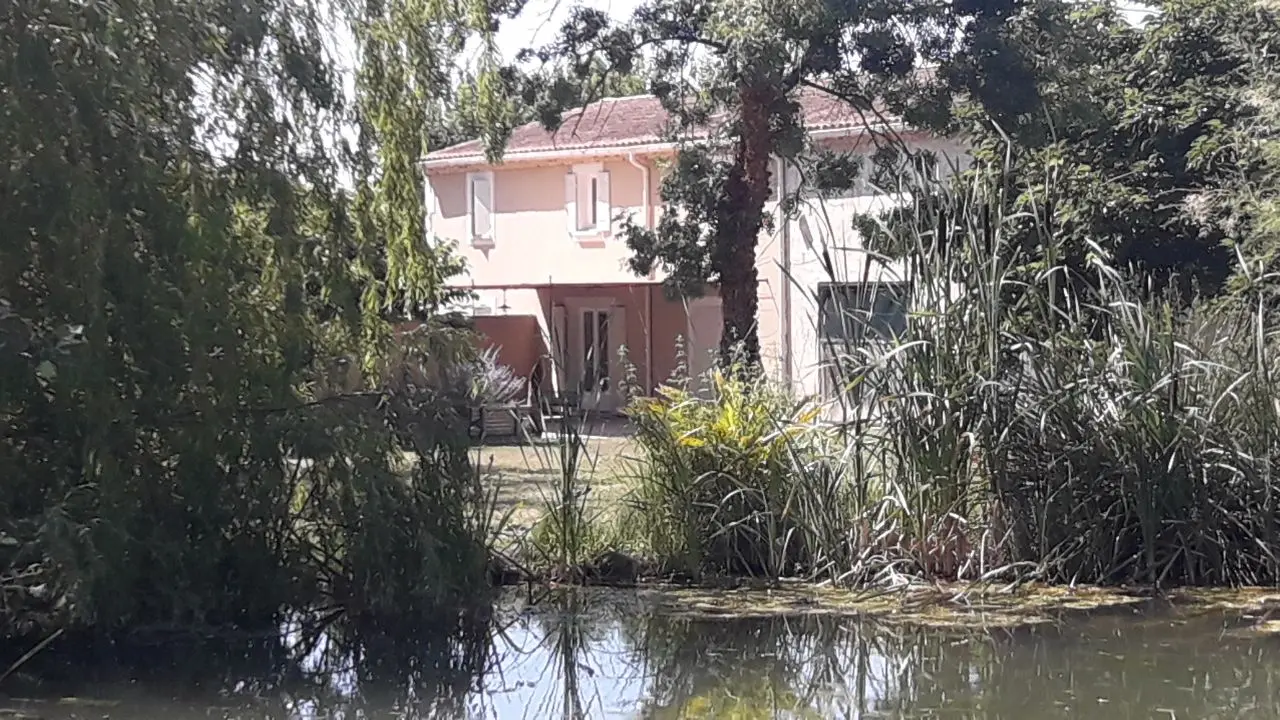 PRES DU GITE UN PETIT LAC D AGREMENT SECURISE OU VOUS POURREZ APPERCEVOIR DES CANARDS ET LE BALLET DES LIBELLULES.SUR DEMANDE AU PROPRIETAIRE VOUS POURREZ FAIRE UN TOUR DE BARQUE.