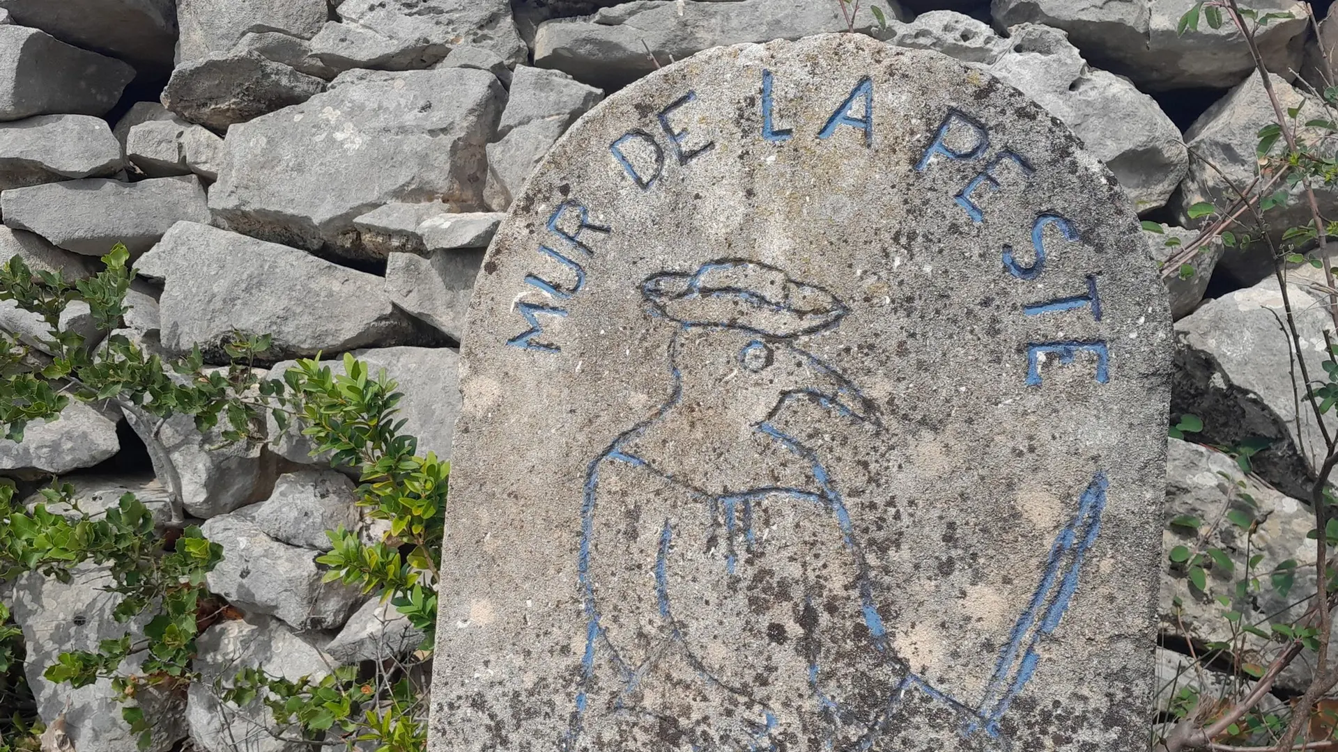 Mur de la Peste sur les hauteurs de Cabrières d'Avignon